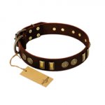 "Golden Elegance" FDT Artisan Brown Leather Bulldog Collar with Old Bronze-like Decorations