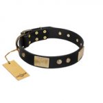 "Antique Gloss" FDT Artisan Black Leather Bulldog Collar with Bronze-like Plates and Small Studs