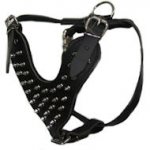 Leather Spiked Dog Harness- Deluxe custom Leather Harness