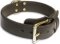 Bulldog WORKING 2PL Black collar 22'' /22 inch dog collar-c33nh