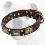 Decorated War Leather Bulldog Collar with Massive Plates and Pyramids