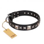 'Space Walk' FDT Artisan Black Leather Bulldog Collar with Adornments