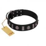 "Silver Spikes" Exclusive FDT Artisan Black Leather Bulldog Collar