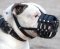Everyday Durable Leather Bulldog Muzzle