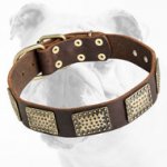 Extraordinary Leather Bulldog Collar with Old Vintage Plates