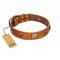 "Knights Templar" FDT Artisan Tan Leather Bulldog Collar with Skulls and Crossbones Combined with Squares