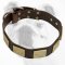 Handcrafted Leather Dog Collar With Vintage Massive Plates
