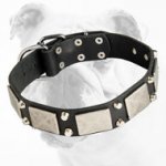 War Decorated Leather Bulldog Collar