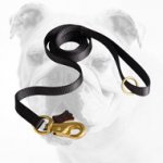 Practical All Weather Nylon Bulldog Leash for Walking