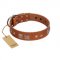 "Egyptian Gifts" Handmade FDT Artisan Tan Leather Bulldog Collar with Chrome-plated Pyramids
