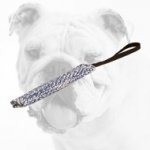 Synthetic French Linen Bulldog Puppy Bite Tug