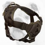 Practical Super Durable Nylon Bulldog Harness