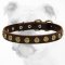 Gorgeous Wide Leather Bulldog Collar With Dotted Circles