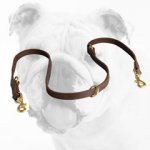 Extra Strong Multifunctional Leather Bulldog Leash
