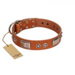 "Pawsy Glossy" FDT Artisan Exclusive Tan Leather Bulldog Collar 1 1/2 inch (40 mm) wide