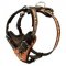 Super Strong Leather Bulldog Harness for Agitation Training
