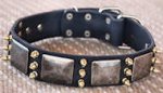 Gorgeous War Dog Leather Dog Collar-massive plates+ brass3 spike