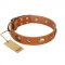 "Visual Magic" FDT Artisan Tan Leather Bulldog Collar for Daily Activities