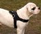 Valley Bulldog Nylon multi-purpose dog harness with handle
