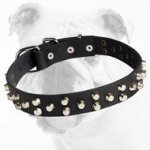 Elegant Super Fashionable Genuine Leather Bulldog Collar with Small Pyramids
