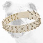 Fashionable Adjustable Leather Bulldog Collar with Spikes