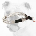 New Stainless Steel Bulldog Pinch Collar for Behavior Correction