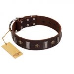 "War Chief" FDT Artisan Genuine Brown Leather Bulldog Collar with Skulls and Plates