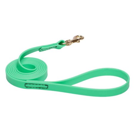 Green Waterproof Bulldog Leash Made of Biothane