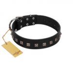 "Natural Beauty" Premium Quality FDT Artisan Black Designer Bulldog Collar with Dotted Studs