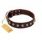 "Gape Buster" FDT Artisan Brown Leather Bulldog Collar with One Row of Studs