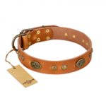 "Sun Beams" FDT Artisan Tan Leather Bulldog Collar with Decorations