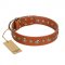 "Gorgeous Roundie" FDT Artisan Tan Leather Bulldog Collar with Chrome-plated Circles
