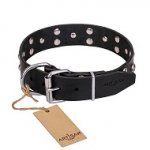 FDT Artisan 'Mystic Skulls' Decorated Leather Bulldog Collar with Skulls and Studs 1 1/2 inch (40 mm)