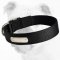 Excellent Walking and Training Nylon Bulldog Collar
