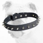 Spiked Leather Bulldog Collar