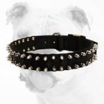 Black Spiked Nylon Bulldog Collar for Training
