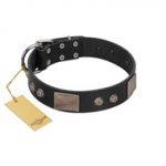 "Square Stars" Modern FDT Artisan Black Leather Bulldog Collar with Square Plates and Studs