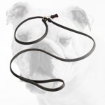 High Quality Fast Handling Leather Bulldog Leash Choke Collar