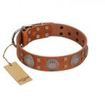 "Sun Rise Noon" FDT Artisan Tan Leather Bulldog Collar with Unique Design