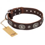 "Extra Pizzazz" FDT Artisan Adorned Brown Leather Bulldog Collar