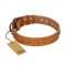 "Autumn Story" FDT Artisan Leather Bulldog Collar with Old Bronze Look Studs