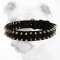 Black Spiked Nylon Bulldog Collar for Training