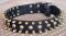 Three Rows with brass Leather Spikes and Studded Dog Collar S57