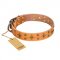 'Top-Flight' FDT Artisan Adorned Tan Leather Bulldog Collar