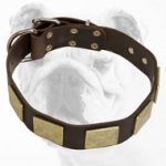Handcrafted Leather Dog Collar With Vintage Massive Plates