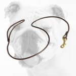 Round Leather Bulldog Show Leash