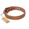"Stunning Dress" FDT Artisan Tan Leather Bulldog Collar with Old Bronze Look Plates and Studs