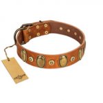 "Crystal Sand" FDT Artisan Tan Leather Bulldog Collar with Vintage Looking Oval and Round Studs