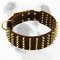 Fabulous Wide Leather Bulldog Collar with Brass Spikes