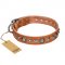 "Daily Chic" FDT Artisan Tan Leather Bulldog Collar with Decorations